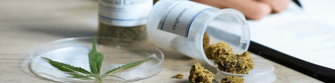 Arzt verschreibt Cannabisblüten auf rezept